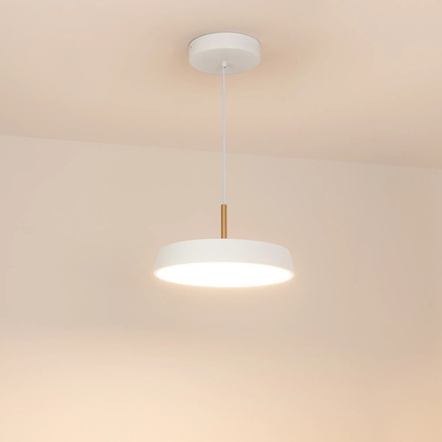 Светильник SP-ELEGANT-R300-17W Warm3000 (WH, 120 deg, 230V) (Arlight, IP20 Металл, 3 года)
