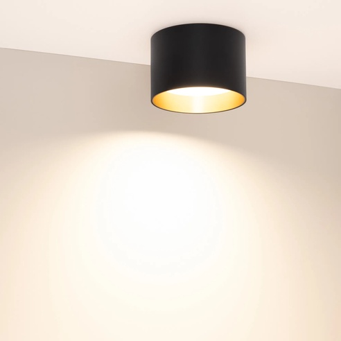 Светильник SP-BISCOTTO-R120-12W Warm3300-MIX (BK-GD, 80 deg, 230V) (Arlight, IP54 Металл, 5 лет)