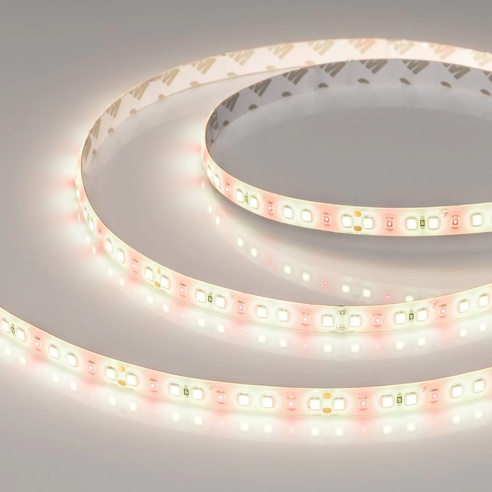 Лента светодиодная FITOLUX-SE-A144-10mm 24V Day4000-Red (14 W/m, IP65, 2835, 5m) (Arlight, 14 Вт/м, IP65)