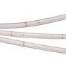 Лента светодиодная RTW 2-5000PS 24V White6000 (2835, 80 LED/m, LUX) (Arlight, 6 Вт/м, IP67)
