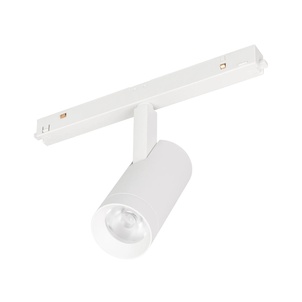 Светильник MAG-ORIENT-SPOT-R45-12W Day4000 (WH, 24 deg, 48V) (Arlight, IP20 Металл, 5 лет)